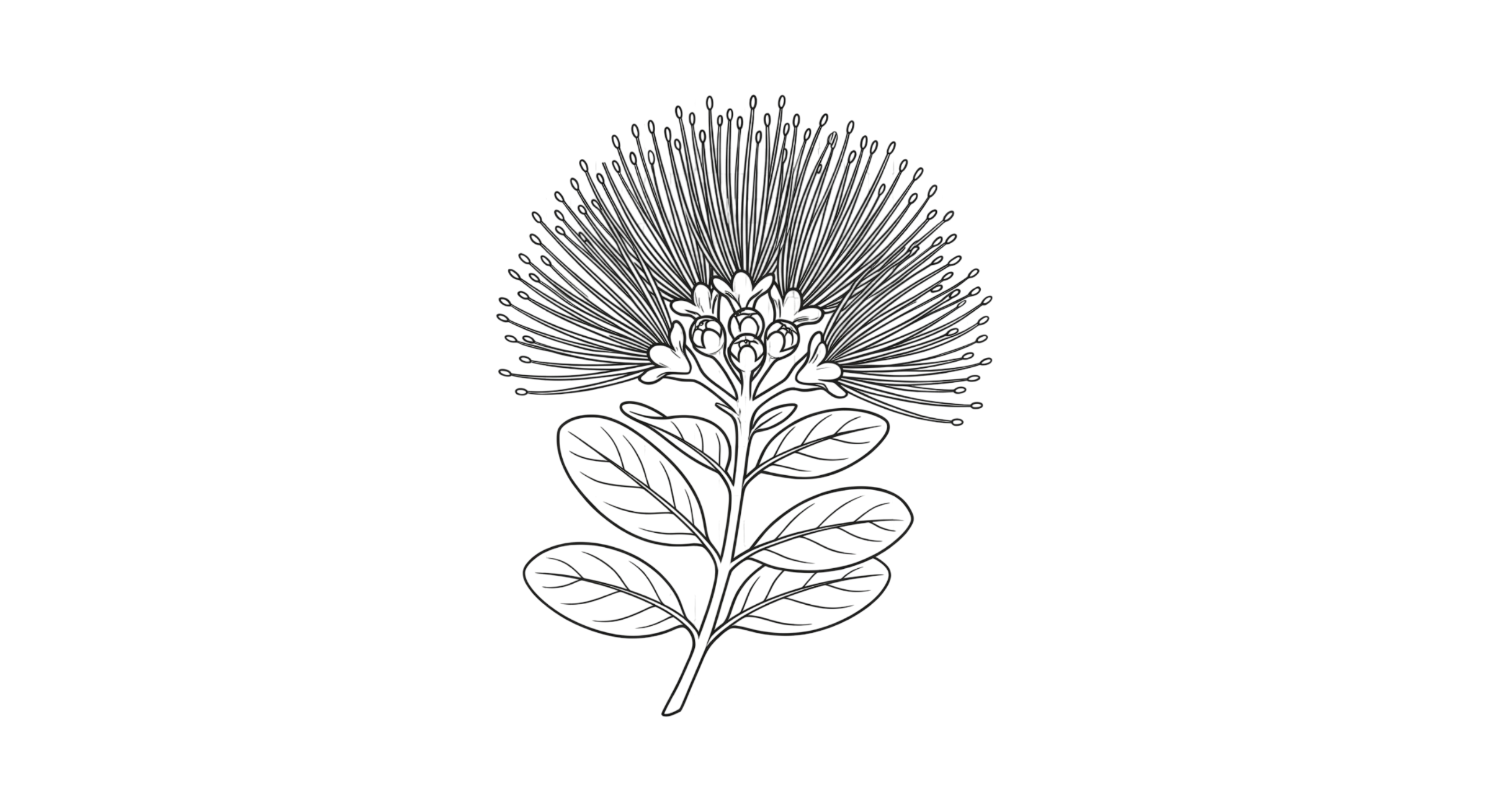 'Ōhi'a Lehua blossom